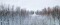 Blog: Spring Will Come